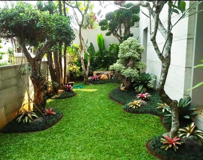 Tukang Taman Jogja OLX